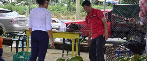 MERCADO MAYORISTA RETOMA SUS ACTIVIDADES NORMALMENTE