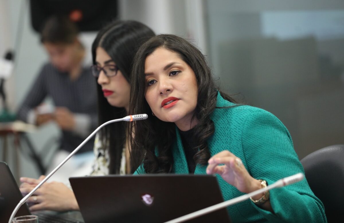SOFÍA ALMEIDA ALISTA DEMANDA PENAL CONTRA HERNÁN ULLOA