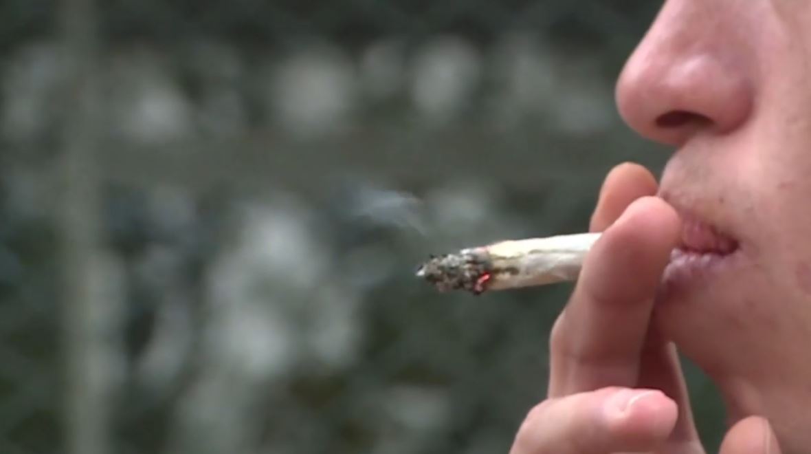 EL LIBRE EXPENDIO DE MARIHUANA  AYUDARÍA A REDUCIR LA DELINCUENCIA
