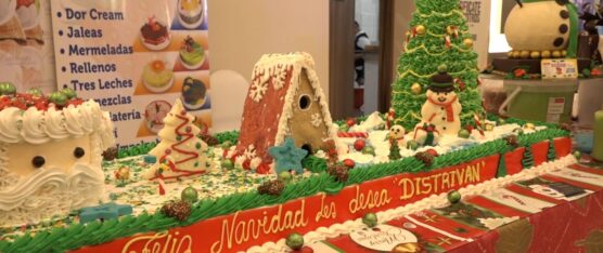 VARIOS EMPRENDEDORES ASISTIERON AL FESTIVAL NAVIDEÑO DEL DULCE Y CHOCOLATE EN SANTO DOMINGO