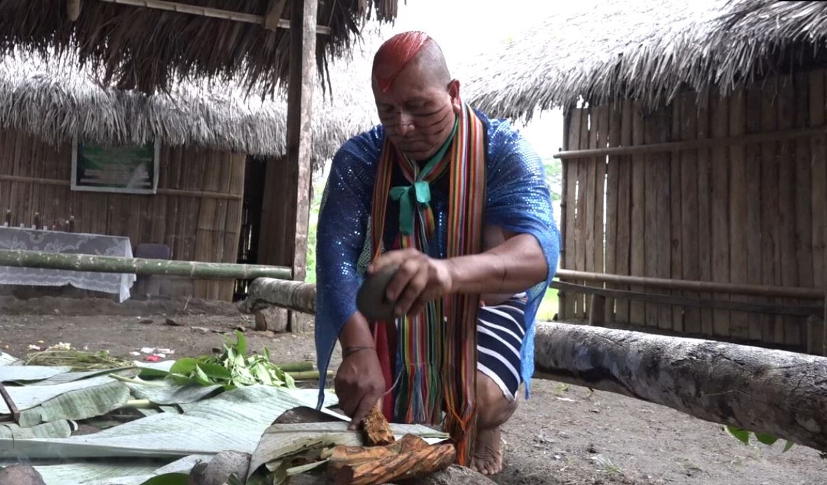 DEL 1 AL 6 DE ENERO EN LAS 7 COMUNAS TSÁCHILAS SE REALIZARÁ EL FESTIVAL DE BUENAS ENERGÍAS