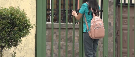 LA INSEGURIDAD ES UN PROBLEMA QUE PERSISTE EN LA URBANIZACIÓN LOS ROSALES