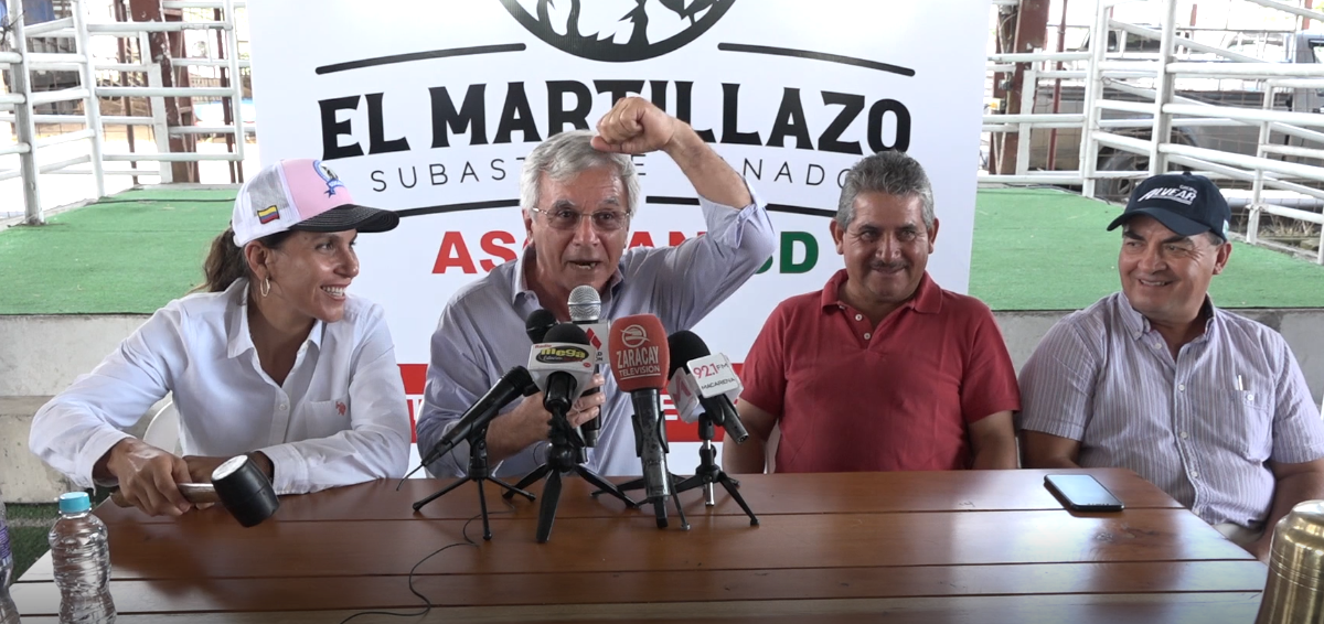 El Martillazo: Nueva modalidad adoptada por ASOGAN SD para la subasta de ganado