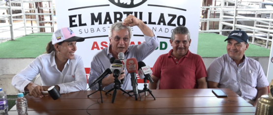 El Martillazo: Nueva modalidad adoptada por ASOGAN SD para la subasta de ganado