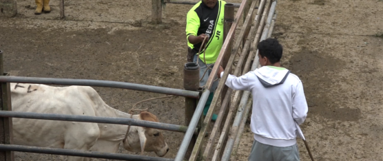 EL SECTOR GANADERO DE LA PROVINCIA SE SIENTE DESPROTEGIDO ANTE EL AUMENTO DE ROBOS Y SECUESTROS