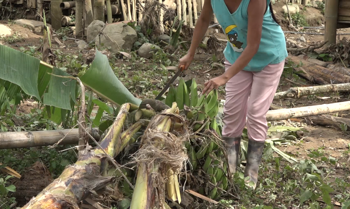 12 HABITANTES DE LA COMUNA JULIO MORENO SE VIERON AFECTADOS POR EL DESBORDAMIENTO DEL RÍO BABA