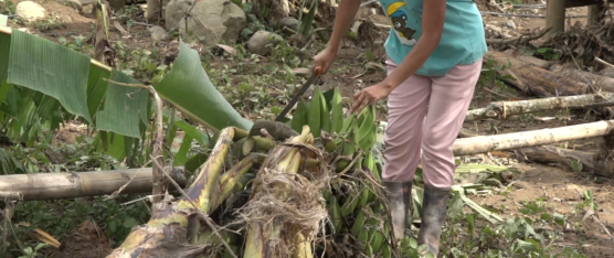 12 HABITANTES DE LA COMUNA JULIO MORENO SE VIERON AFECTADOS POR EL DESBORDAMIENTO DEL RÍO BABA