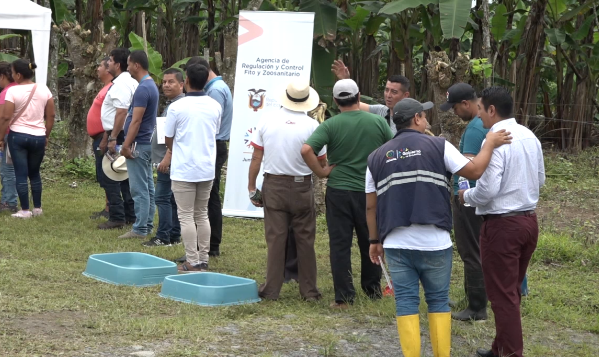 AGROCALIDAD ENTREGÓ  KITS DE BIOSEGURIDAD A ASOCIACIONES DE PEQUEÑOS PRODUCTORES DEL CANTÓN EL CARMEN