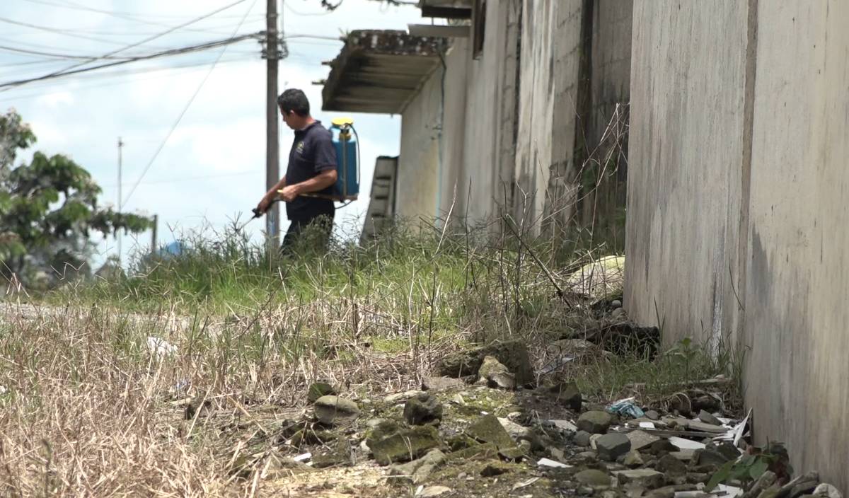 PROGRAMA DE DESRATIZACIÓN ANTE LEPTOSPIROSIS EN SANTO DOMINGO