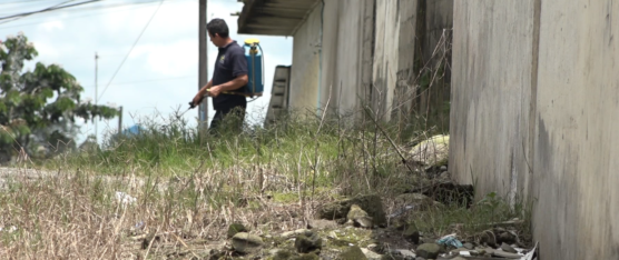 PROGRAMA DE DESRATIZACIÓN ANTE LEPTOSPIROSIS EN SANTO DOMINGO