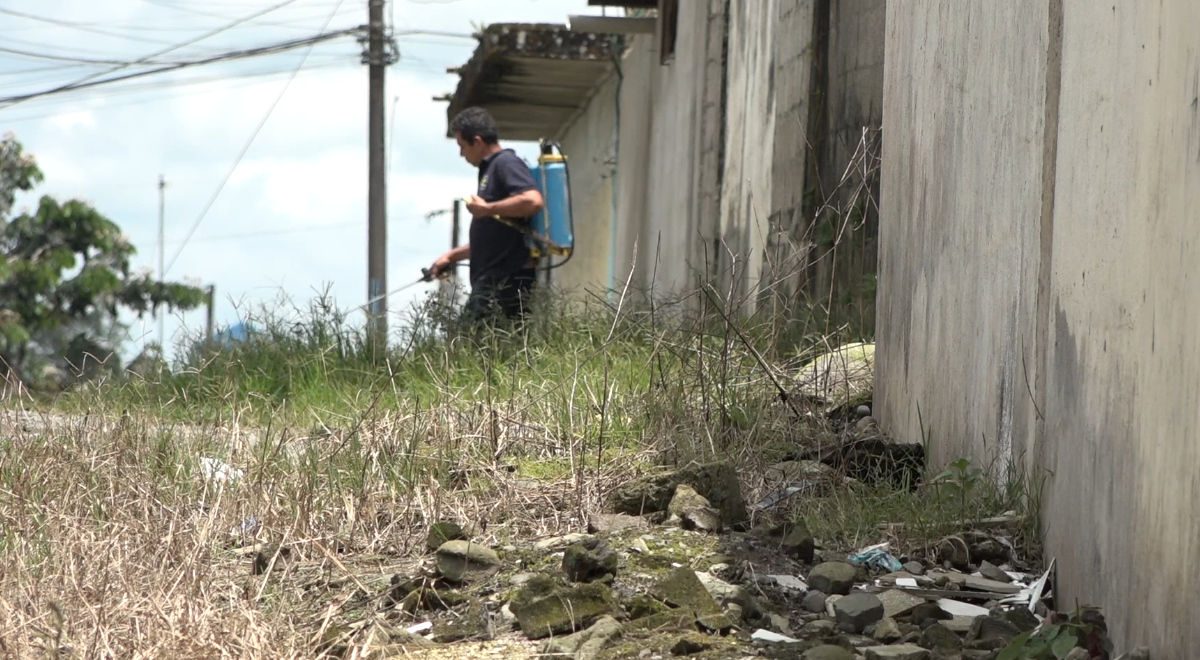 PROGRAMA DE DESRATIZACIÓN EN SANTO DOMINGO ANTE BROTE DE LEPTOSPIROSIS