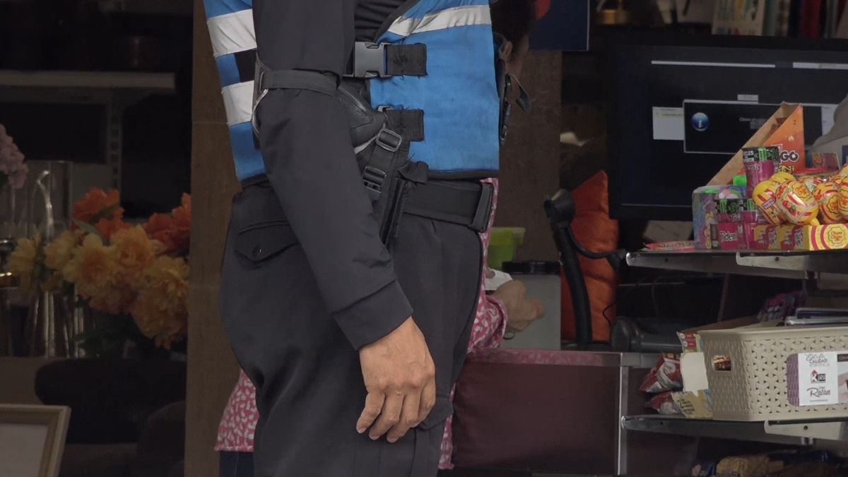 EL GOBIERNO DISPUSO QUE GUARDIAS DE SEGURIDAD PRIVADA APOYEN LA LABOR DE LA POLICÍA NACIONAL