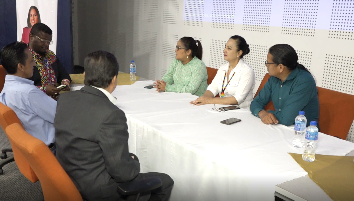 PREPARATIVOS PARA LA CONSULTA PRELEGISLATIVA DE LA LEY REFORMATORIA A LA LEY DE MINERÍA