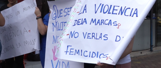 LA RED DE MUJERES VIOLENTADAS DE SANTO DOMINGO DE LOS TSÁCHILAS, EFECTUÓ UN PLANTÓN