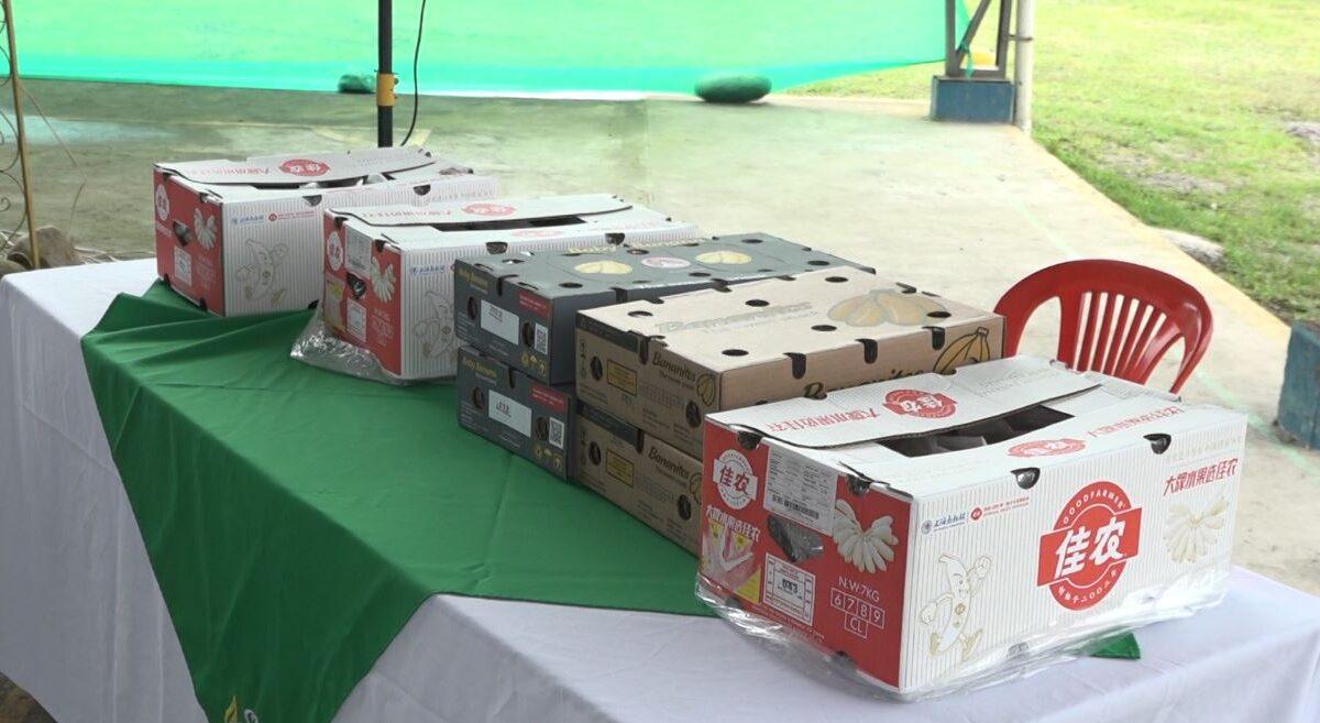 TÉCNICOS DE AGROCALIDAD CAPACITARON Y ENTREGARON KITS DE BIOSEGURIDAD EN LA COMUNA JULIO MORENO