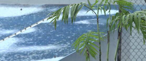 EL SERVICIO NACIONAL DE GESTIÓN DE RIESGOS HA EMITIDO UNA ALERTA SOBRE EL FENÓMENO DE EL NIÑO