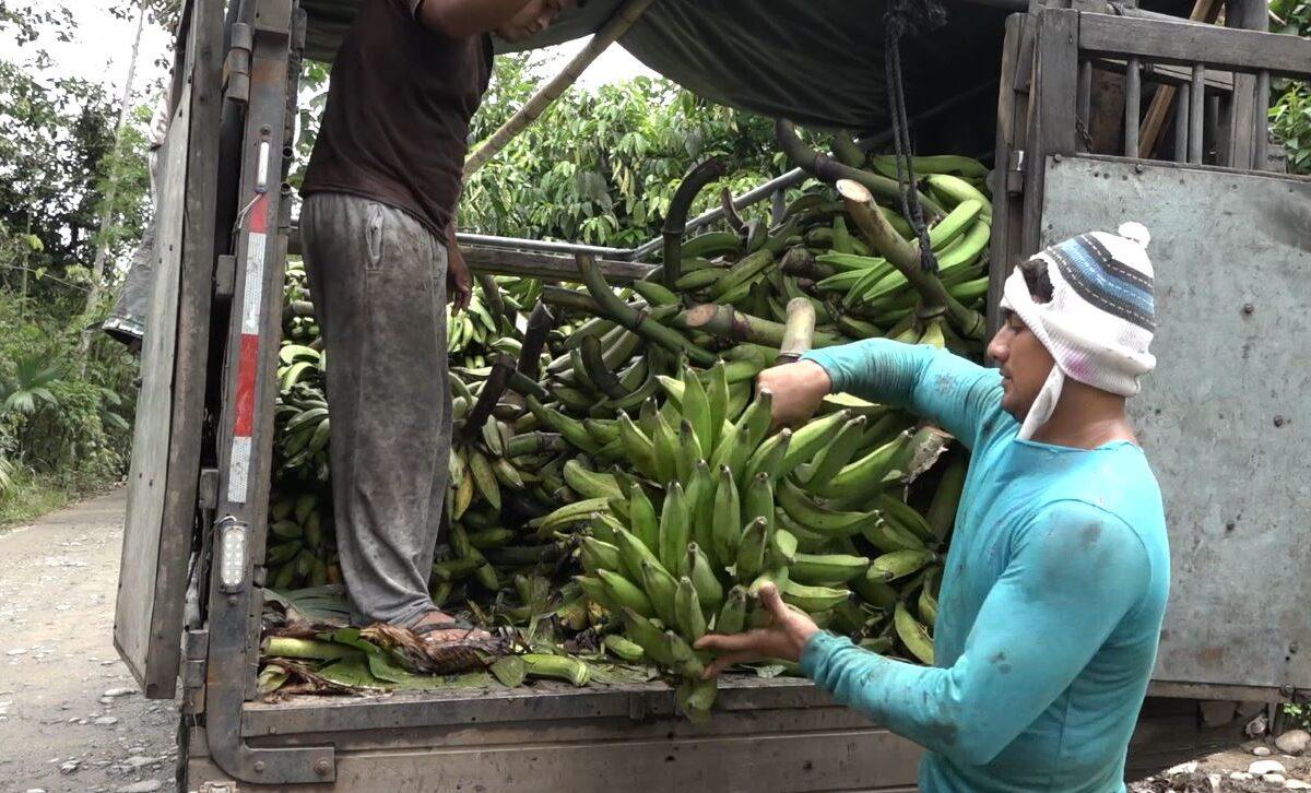 EL MAL ESTADO DE LA VÍA QUE UNE A LOS RECINTOS BELLAVISTA Y UMPECHICO CAUSA MALESTAR