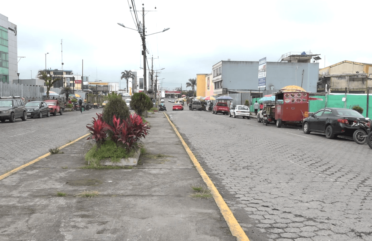 ALGUNOS ADOQUINES ESTÁN SALIDOS Y OTROS ESTÁN FLOJOS EN LA AV. LAS DELICIAS EN SANTO DOMINGO
