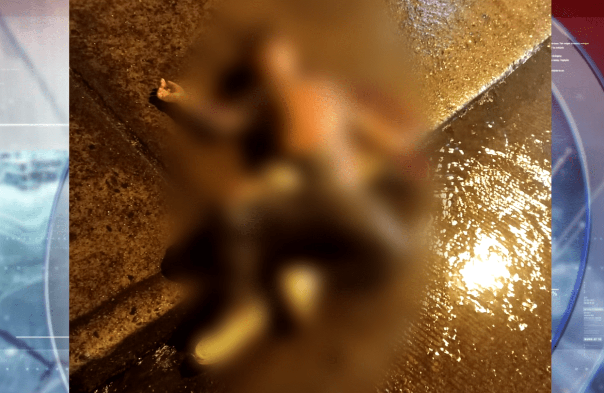 EL CUERPO DE UN MENOR FUE HALLADO EN EL INGRESO A LA VÍA A SAN JACINTO DEL BÚA