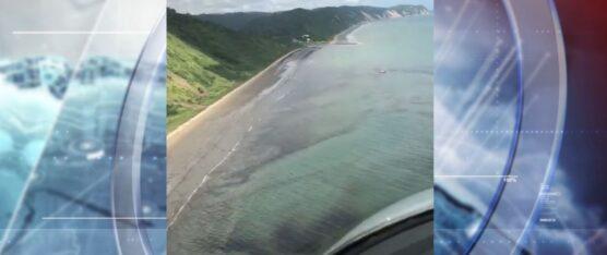 LA PLAYA LAS PALMAS AMANECIÓ TEÑIDA DE MANCHAS DE PETRÓLEO EN ESMERALDAS
