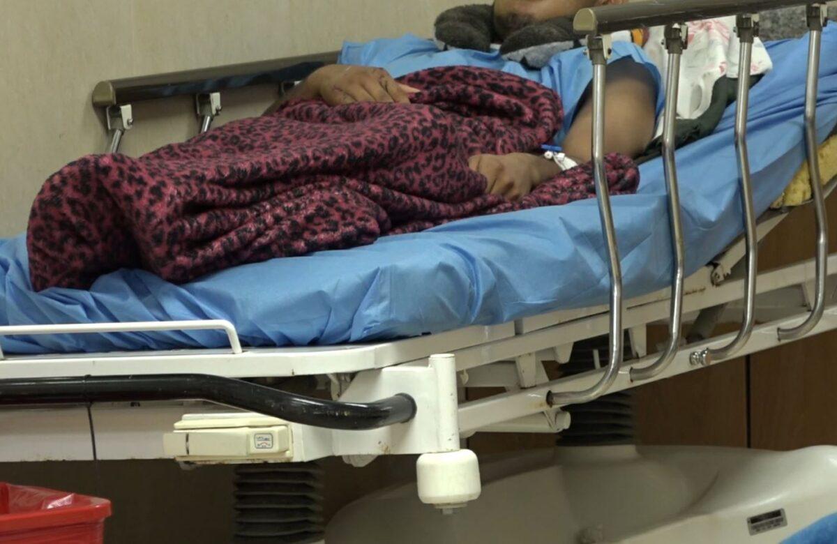 EL MINISTERIO DE SALUD PÚBLICA REPORTA 1 038 CASOS DE DENGUE EN SANTO DOMINGO DE LOS TSÁCHILAS