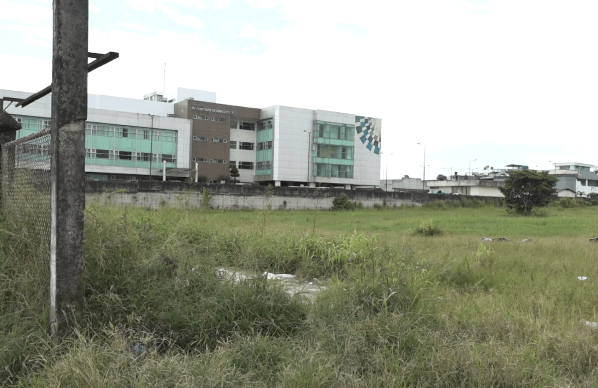 LOS LOTES BALDÍOS EN SANTO DOMINGO SE ESTÁN CONVIRTIENDO EN FOCO PARA LA PROLIFERACIÓN DE MOSQUITOS