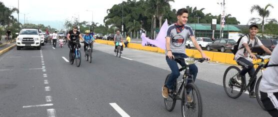 CONSULTA POPULAR SERÁ EL 20 DE AGOSTO