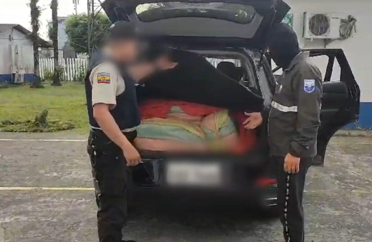 99 KILOS DE MARIHUANA FUERON DECOMISADOS EN UN OPERATIVO EN LA VÍA QUININDÉ – SANTO DOMINGO
