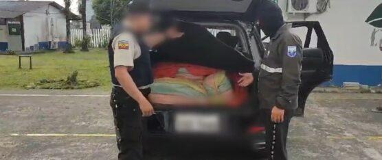 99 KILOS DE MARIHUANA FUERON DECOMISADOS EN UN OPERATIVO EN LA VÍA QUININDÉ – SANTO DOMINGO