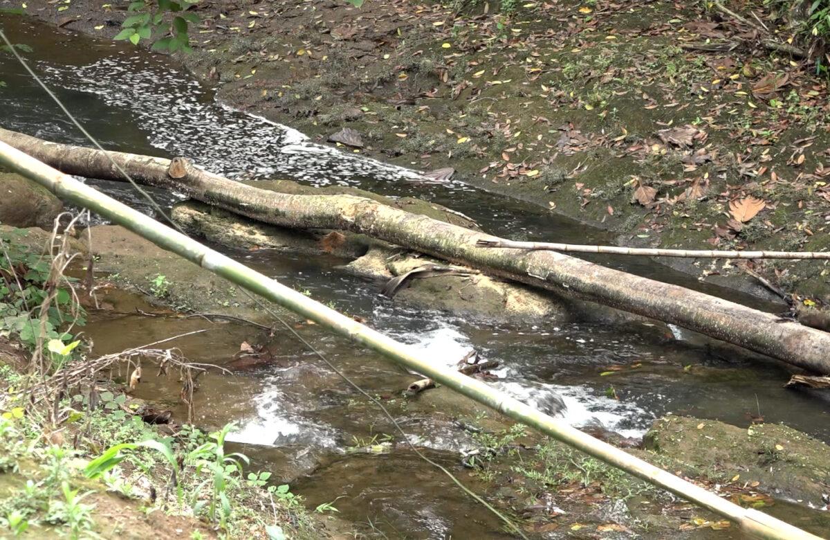 LA CONTAMINACIÓN DE LOS RÍOS EN LA PARROQUIA SAN JACINTO DEL BÚA PREOCUPA A LOS HABITANTES