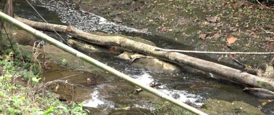 LA CONTAMINACIÓN DE LOS RÍOS EN LA PARROQUIA SAN JACINTO DEL BÚA PREOCUPA A LOS HABITANTES