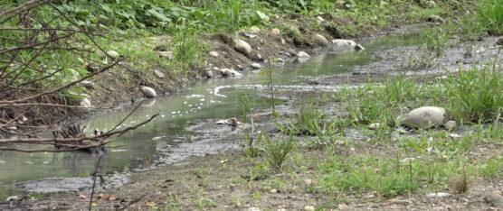 DESDE HACE 5 MESES EL SISTEMA DE ALCANTARILLADO EN VALLE HERMOSO COLAPSÓ