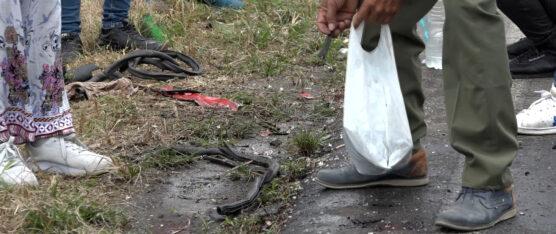 DOS PERSONAS MURIERON TRAS EL ACCIDENTE DE TRÁNSITO EN LA VÍA A LA PARROQUIA SAN JACINTO DEL BÚA