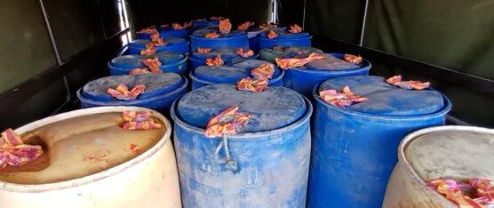 LA FUERZA DE TAREA CONJUNTA DECOMISÓ 1.200 GALONES DE COMBUSTIBLE  EN ESMERALDAS