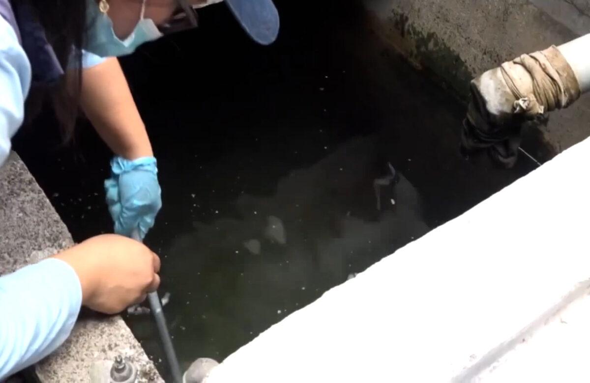 VARIAS FAMILIAS HAN SIDO DIAGNOSTICADAS CON EL DENGUE EN ALLURIQUÍN