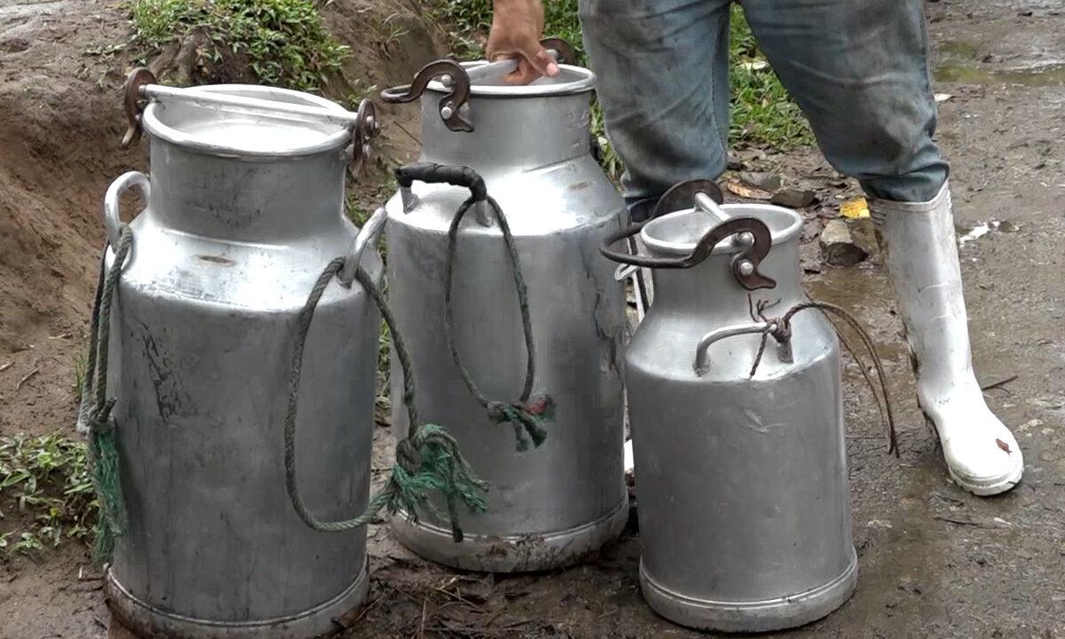 EL PRECIO DE LA LECHE AFECTA A LOS PRODUCTORES DE LA COMUNA POLANCO