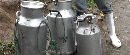 EL PRECIO DE LA LECHE AFECTA A LOS PRODUCTORES DE LA COMUNA POLANCO