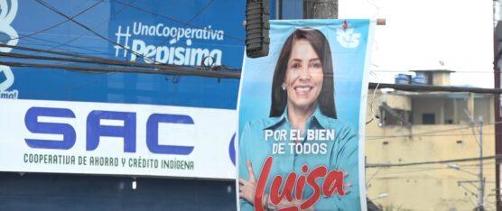 LA FALTA DE CONTROLES SOBRE LA PUBLICIDAD POLÍTICA ES PREOCUPANTE EN SANTO DOMINGO