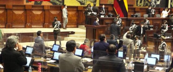 REVOLUCIÓN CIUDADANA SUMÓ CUATRO ESCAÑOS TRAS REPETICIÓN DE ELECCIONES EN EL EXTERIOR