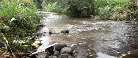 LA CONTAMINACIÓN DEL RÍO SALGANA PREOCUPA A LOS MORADORES Y PRODUCTORES DE LA ZONA
