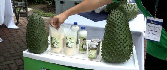 FERIA DE LA GUANÁBANA: EVENTO QUE BUSCA POSICIONAR LA FRUTA EN EL MERCADO INTERNACIONAL