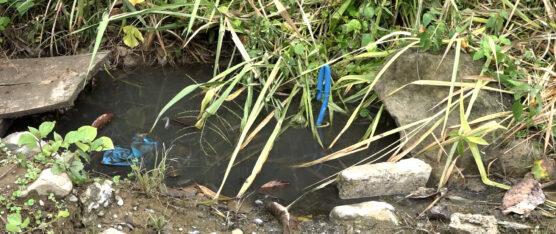 EN LA COOP. LOS NARANJOS SE REPORTAN POZAS DE AGUA QUE SIRVEN DE CRIADERO DE MOSQUITOS