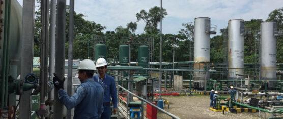CAMPO ISHPINGO REPORTA CAÍDA DE PRODUCCIÓN