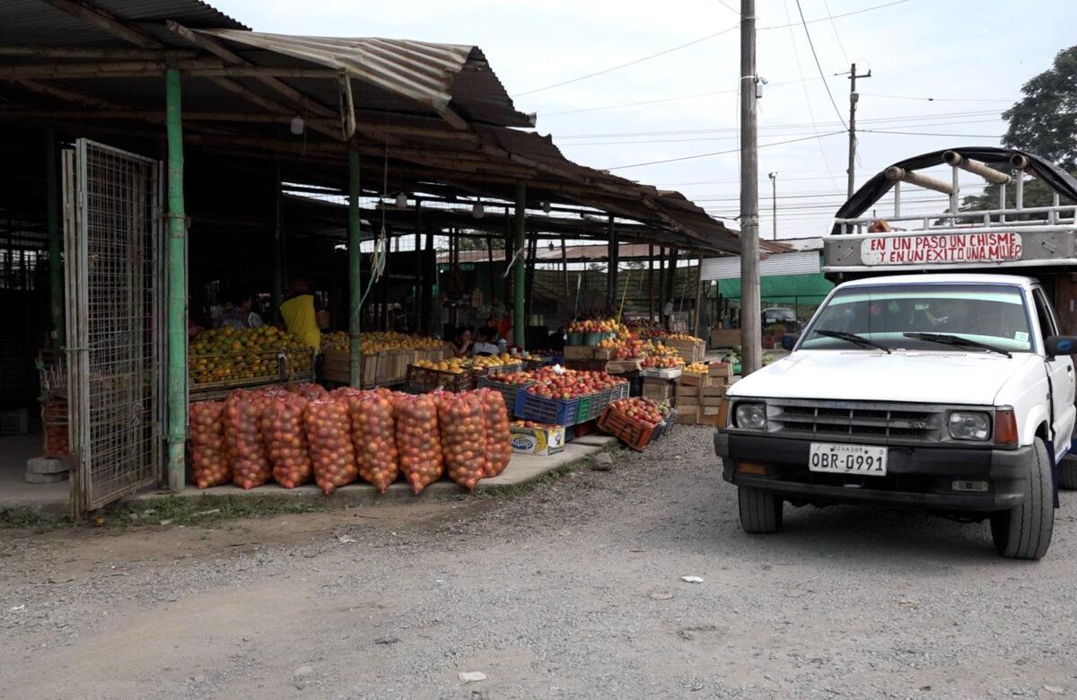 TERRENO PARA MERCADO MAYORISTA