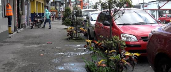 JARDINERAS EN MAL ESTADO