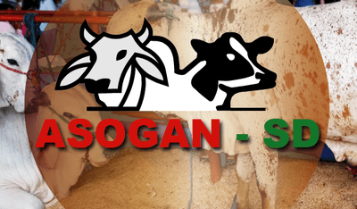 ASOGAN TIENE 2 CANDIDATOS PARA LA PRESIDENCIA