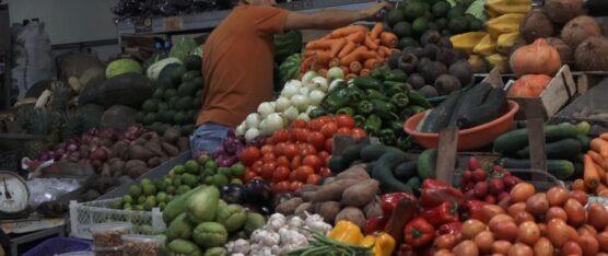 LA MAYORÍA DE LOS PRECIOS DE LOS VEGETALES Y TUBÉRCULOS NO HAN SUBIDO DE PRECIO