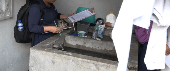 SE REALIZÓ UNA JORNADA DE ABATIZACIÓN EN CIUDAD VERDE