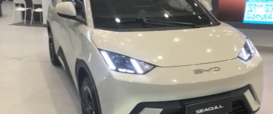 VEHÍCULOS ELÉCTRICOS E HÍBRIDOS DE LA MARCA BYD CAUSAN SENSACIÓN