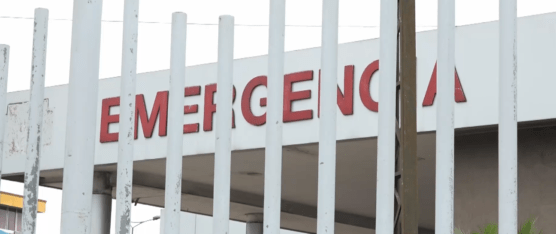 AUMENTAN LOS CASOS DE DENGUE EN ECUADOR; SANTO DOMINGO DE LOS TSÁCHILAS REGISTRA  3.315 CONTAGIOS